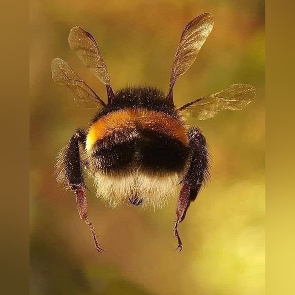 Meet your Posher, Debbie - Picture 2 of 2